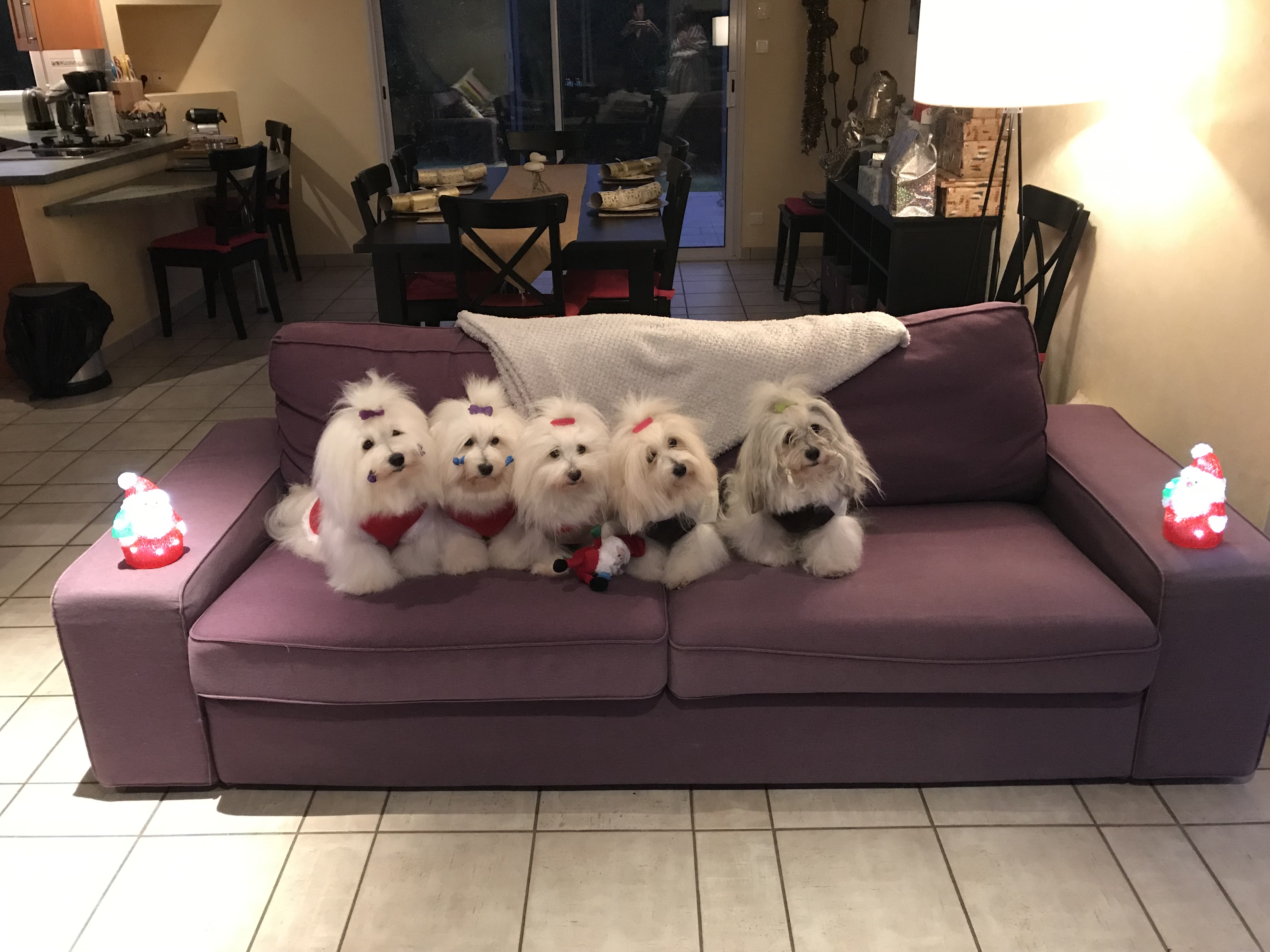 Girls Xmas 2018 France.jpg