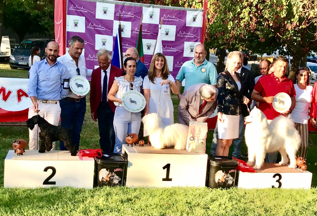 668FC3FB-20F4-415F-A549-9926F38A831A