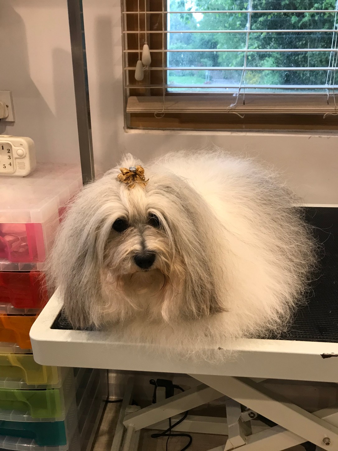 44083501-4B06-4254-88D9-1CB11BE37DFA